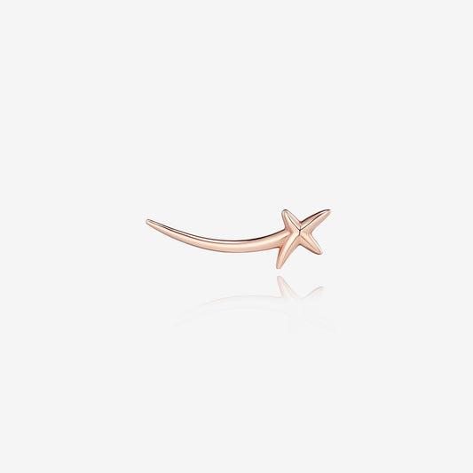 Mon Paris Gold One-sided Earring JDPERYF04XX