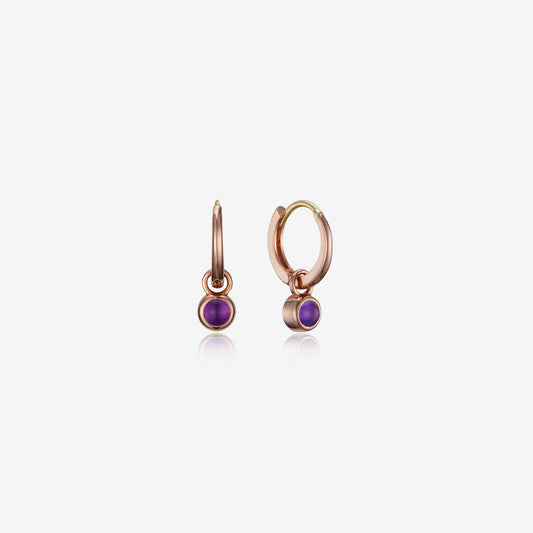 [Febuary Birthstone] Debon D.D Gold Earring JDRERWS012V