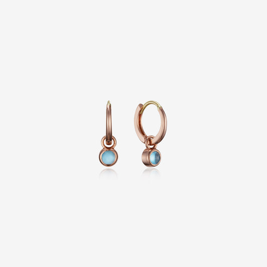 [November Birthstone] Debon D.D Gold Earring JDRERWS01AL